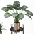 Golden Vase Indoor Plant Set 3D model small image 5