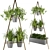 Green Oasis Indoor Plants Set 3D model small image 1