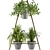 Green Oasis Indoor Plants Set 3D model small image 4