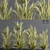 Wheat Fields 3D Model 3D model small image 2