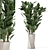 Carmen Terracotta Indoor Plants Set with Ficus 3D model small image 1