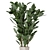 Carmen Terracotta Indoor Plants Set with Ficus 3D model small image 2