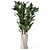 Carmen Terracotta Indoor Plants Set with Ficus 3D model small image 4