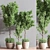 Versatile Indoor Plant Set 3D model small image 2