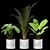 Green Oasis Indoor Plant Set 3D model small image 1