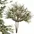 Everlasting Olive Tree 3D model small image 5