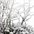 Snowy Mixed Plant Bush - Set of 59 3D model small image 2