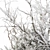 Snowy Mixed Plant Bush - Set of 59 3D model small image 3