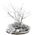 Snowy Garden Outdoor Plants 3D model small image 1