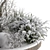 Snowy Garden Outdoor Plants 3D model small image 2