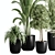 10-Piece Indoor Plant Set: V-Ray/Corona 2015 3D model small image 2