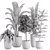 10-Piece Indoor Plant Set: V-Ray/Corona 2015 3D model small image 5