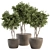 Concrete Pot Outdoor Plant Set 3D model small image 1