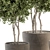 Concrete Pot Outdoor Plant Set 3D model small image 4