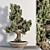 Realistic Bonsai Plant for Closeups 3D model small image 5
