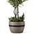 Rustic Concrete Pot with Outdoor Bush and Tree 3D model small image 4
