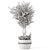 Rustic Concrete Pot with Outdoor Bush and Tree 3D model small image 6
