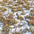 Winter Grass Pack: 5 Premium Lawn Patterns 3D model small image 1