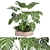 Bau Pot Large Indoor Plants Set 3D model small image 1