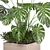 Bau Pot Large Indoor Plants Set 3D model small image 2