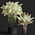 Elegant Lilac Flower Set 3D model small image 1