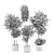 Modern Indoor Plants Set - Ferm Living Bau Pot 3D model small image 6