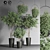 Indoor Plant Collection 17 3D model small image 2