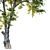 Glorious Honey Locust Tree 3D model small image 2