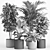 Tropical Rattan Plant Set 3D model small image 4