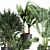 Tropical Plant Collection: Exotic and Indoor Plants 3D model small image 2