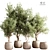 Elevate your plants with stylish indoor plant stand 3D model small image 1