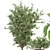 Indoor Greenery Set | Ferm Living Bau Pot Large 3D model small image 4