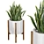 Office Snake Plant: 3D Model 3D model small image 1