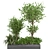 Beautiful Outdoor Plant Collection 3D model small image 1