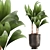 Tropical Loft Plant Collection 3D model small image 1