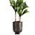 Tropical Loft Plant Collection 3D model small image 3