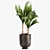 Tropical Loft Plant Collection 3D model small image 5