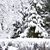 Winter Wonderland: Park Panorama 3D model small image 2