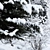 Winter Twigs Panorama. High-Res Image. 3D model small image 2