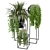 Indoor Greenery Collection - Set 171 3D model small image 6