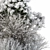 Snowy Dried Plant Bush - Set of 60 3D model small image 4