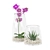 Elegant Orchid in Glass Pot 3D model small image 1