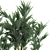 Exotic Plant Collection: Indoor & Outdoor Decor 3D model small image 3