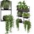 Rustic Indoor Plant Set 173 3D model small image 2