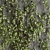 Evergreen Wall - Outdoor Vertical Garden 3D model small image 3