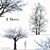 Chanticleer Trees: Elegant Pair for Your Landscape 3D model small image 1