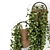 Modern Hanging Plants in Sleek Concrete Pot 3D model small image 3