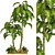 Tropical Garden Set Vol.32 3D model small image 1