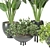 Green Oasis: Indoor Plants Collection 3D model small image 6