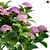 Elegant Hydrangea 3D Model 3D model small image 2